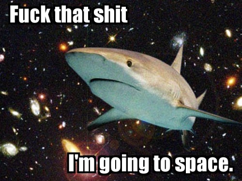 tumblr_l9kytqbRdn1qz86d8o1_500.jpg