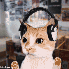 tumblr_lekiylPqsC1qd2cvl.gif