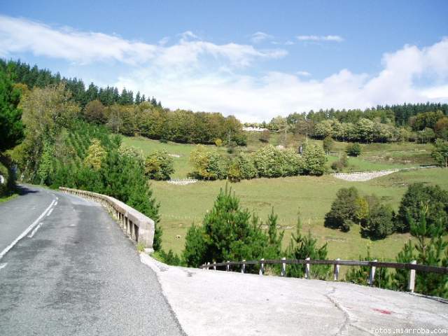8efe4776.jpg