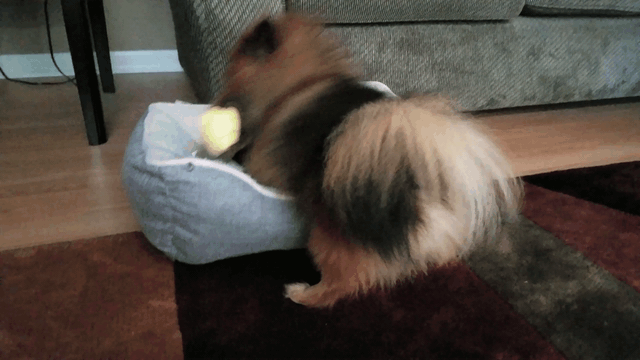 20191001-144924-Trim-Trim.gif
