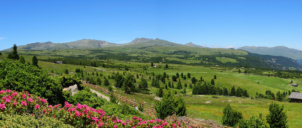 rinderplatz-villanderer-alm.jpg