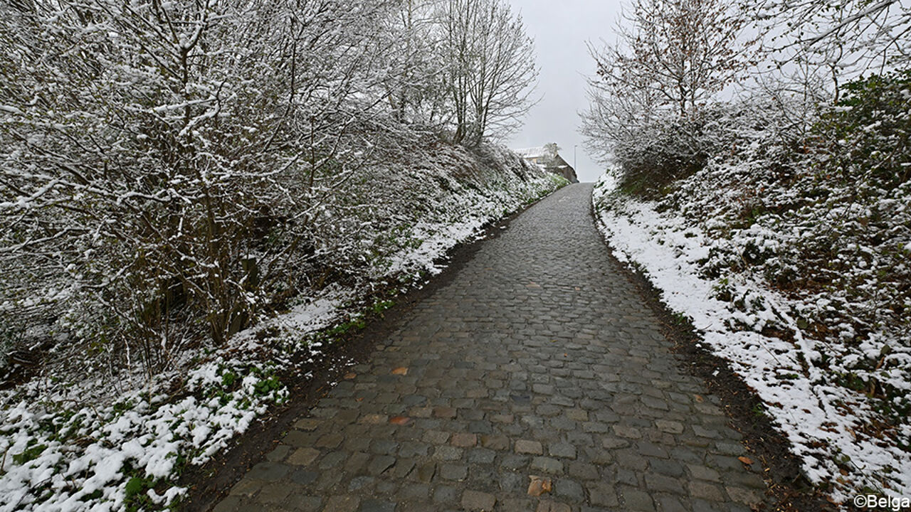 1a17566f-b1a5-11ec-b07d-02b7b76bf47f.jpg