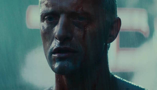 roy-battyjpg-2c506a.jpg