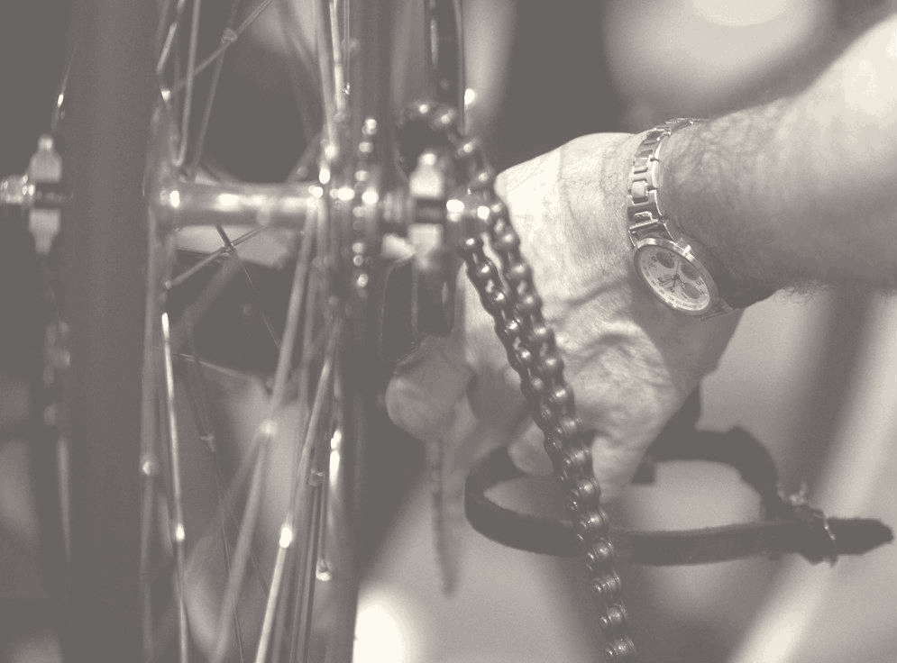 20080928_BLENHEIM_BROMPTON_HERAS.JPG