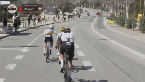 catalinya23-st6-3.gif