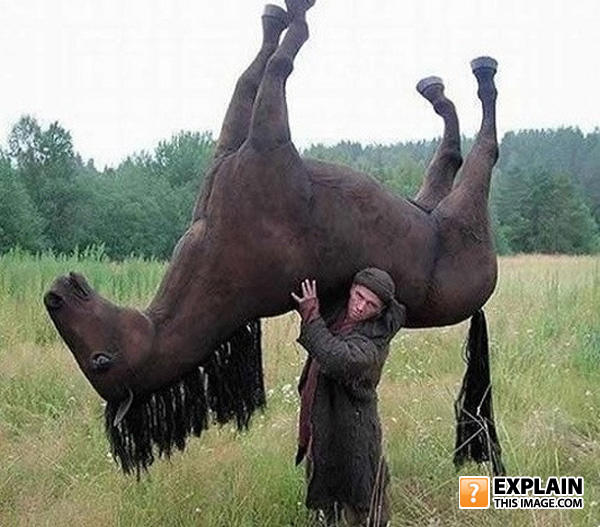 explain.jpg