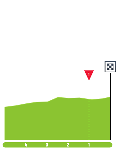 dauphine-2019-stage-5-finish-50c8dbec10.png