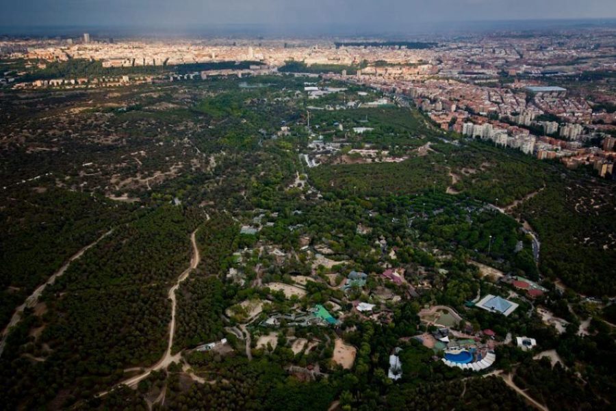 Casa-Campo.jpg