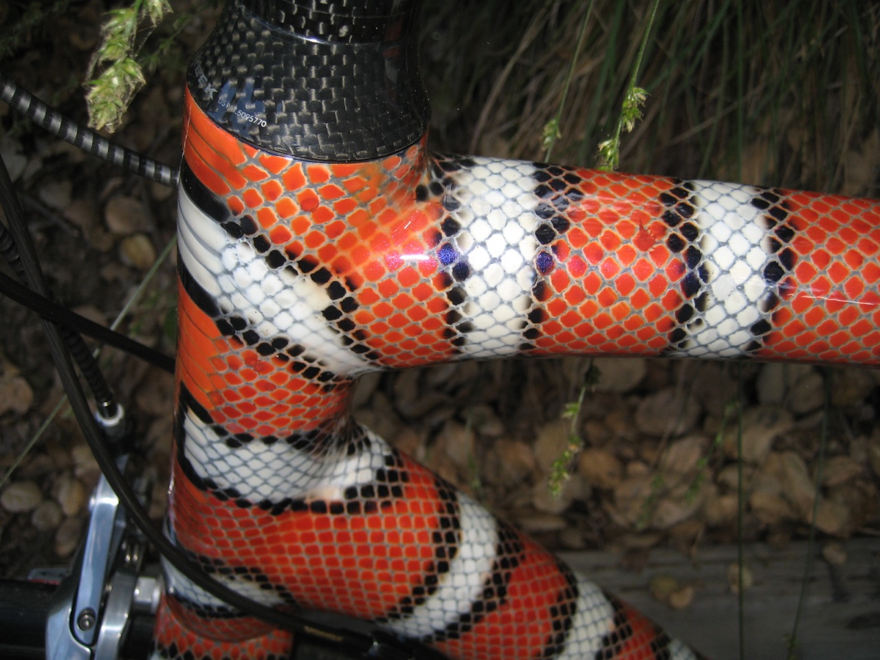 snake+bike.jpg