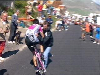 guerini.jpg