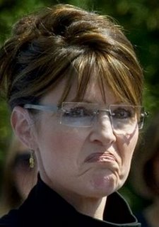 palin-frowning.jpg