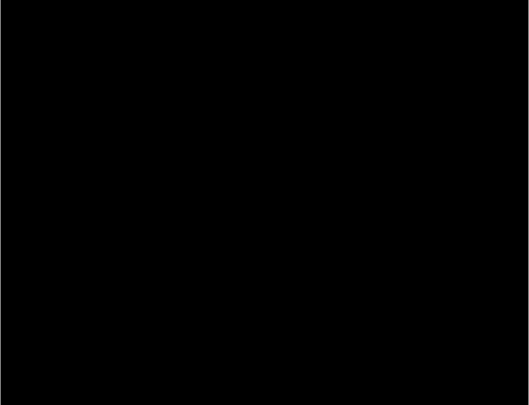 Capture23.jpg
