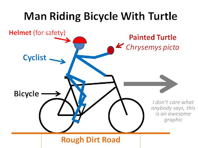 Man+Turtle+Bike.jpg