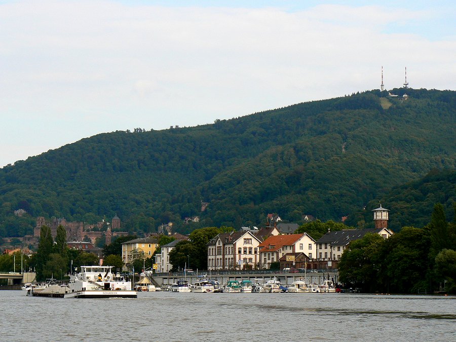 neckar-koenigstuhl-odenwald-P1000791.jpg