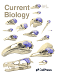 www.sciencedirect.com