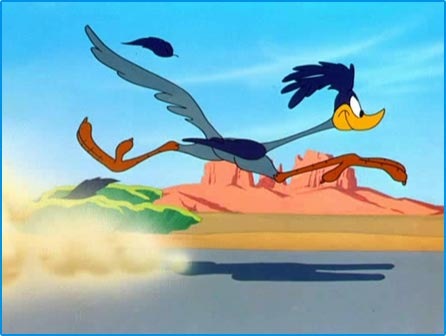 roadrunner.jpg
