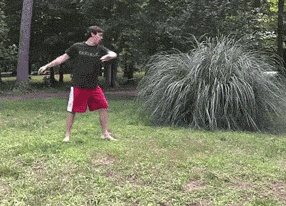 J3G8Y.gif