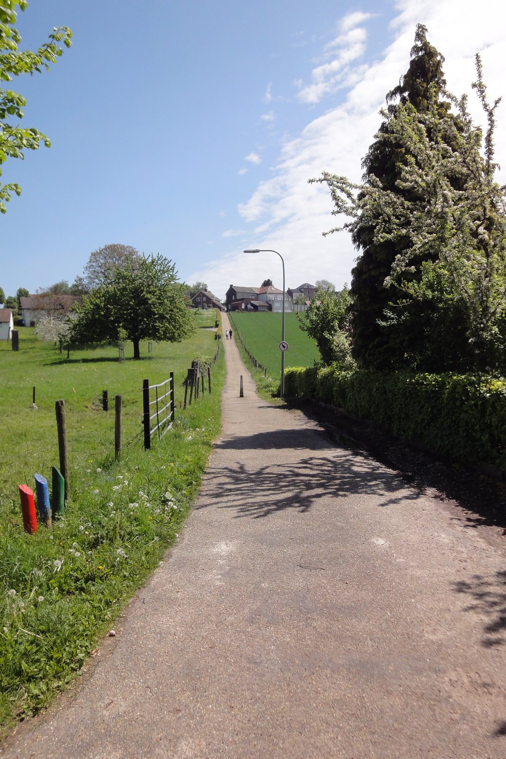 rugweg-upload-3051-1024x0.JPG