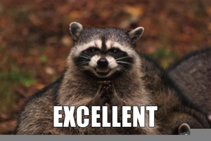 1498563095285889324excellent-meme-raccoon.med.png