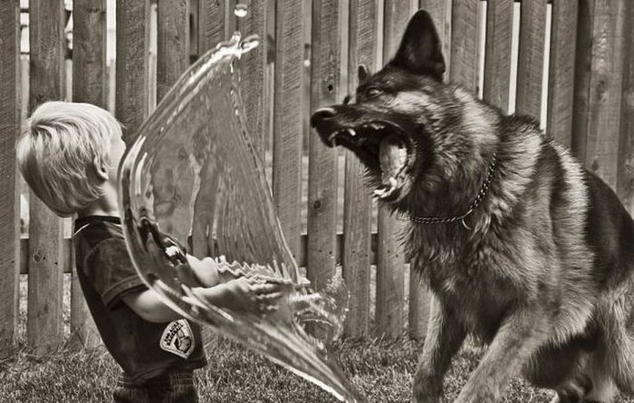 real_photos_that_look_fake_41.jpg