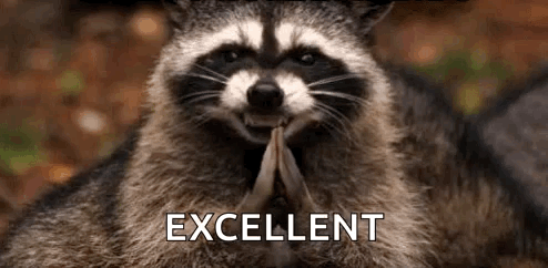 raccoon-yes.gif