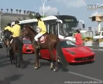 gifs_12.gif