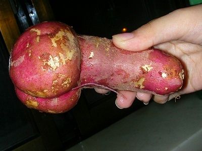 another-rude-vegetable.jpg