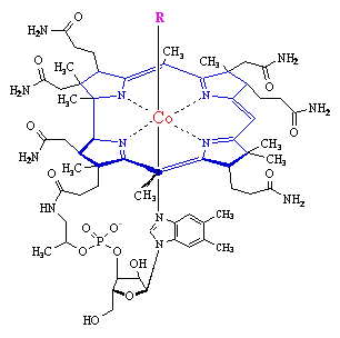 b12.gif