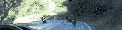 gifs_06.gif