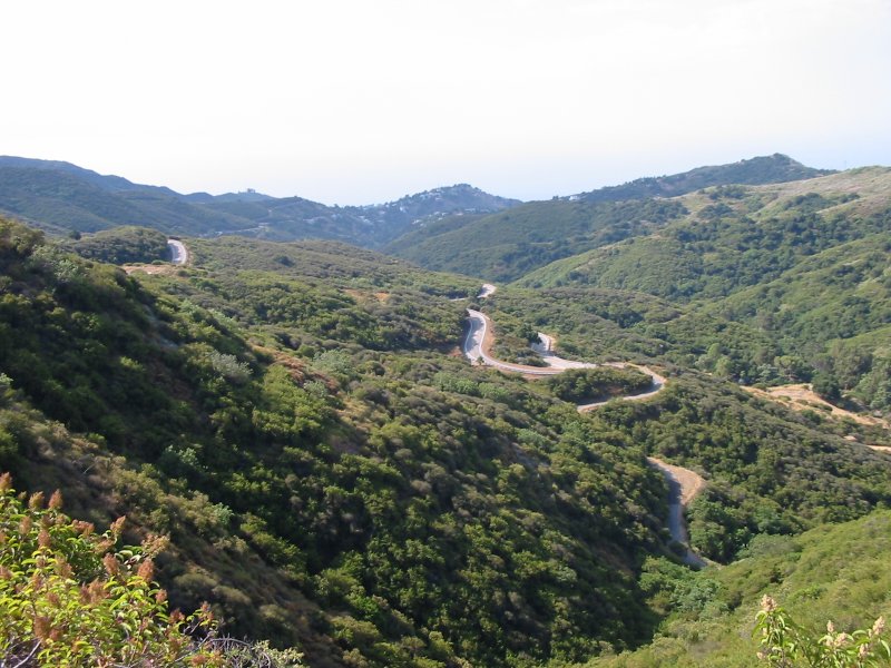 latigo.jpg