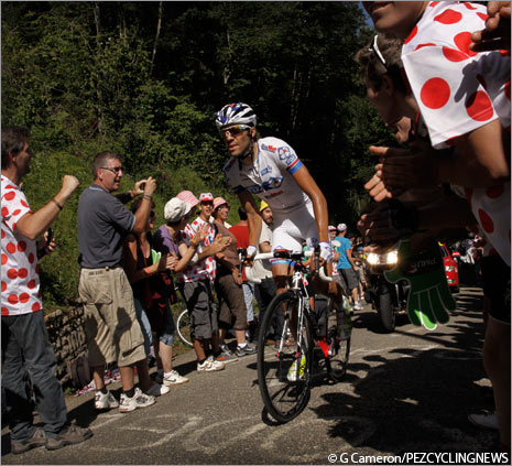 tdf12st08gc-pinot.jpg