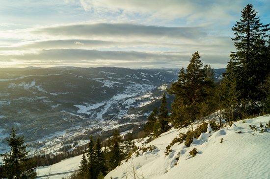 liatoppen-fjellstue-og.jpg