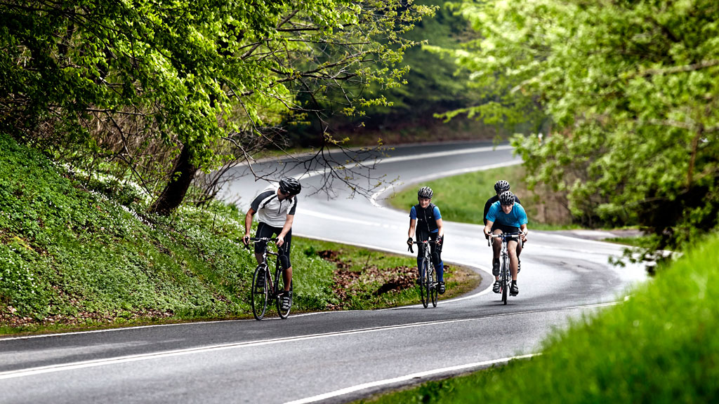 106354_comwell_-_cykel_-_hulvejen.jpg