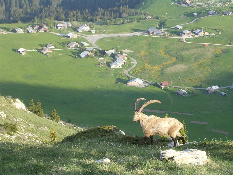 Plateau_Solaison.jpg