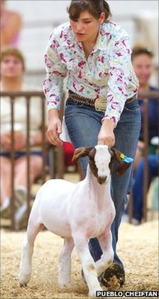 _56071127_weinroth_theodoregoat.jpg