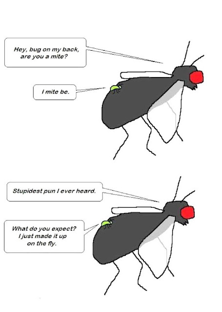 NPo4R.jpg