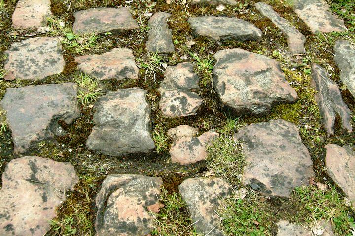 arenberg_cobbles.jpg