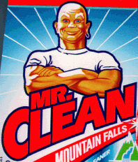 mrclean.gif