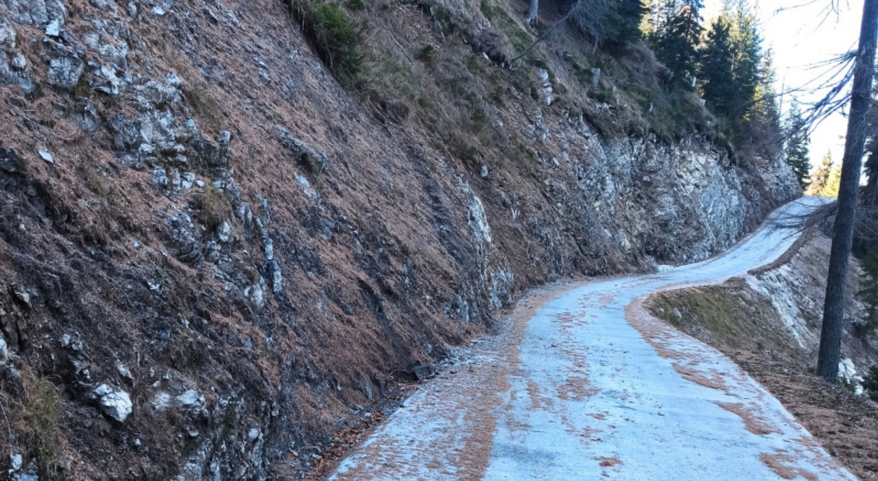7105555_10222405_progetto_senza_titolo_40_.jpg