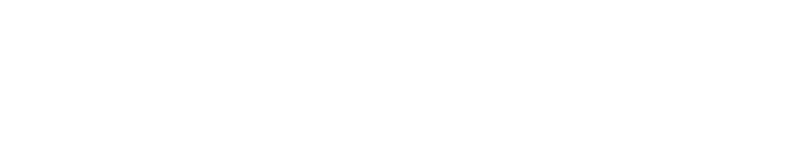 aurumbikes.com