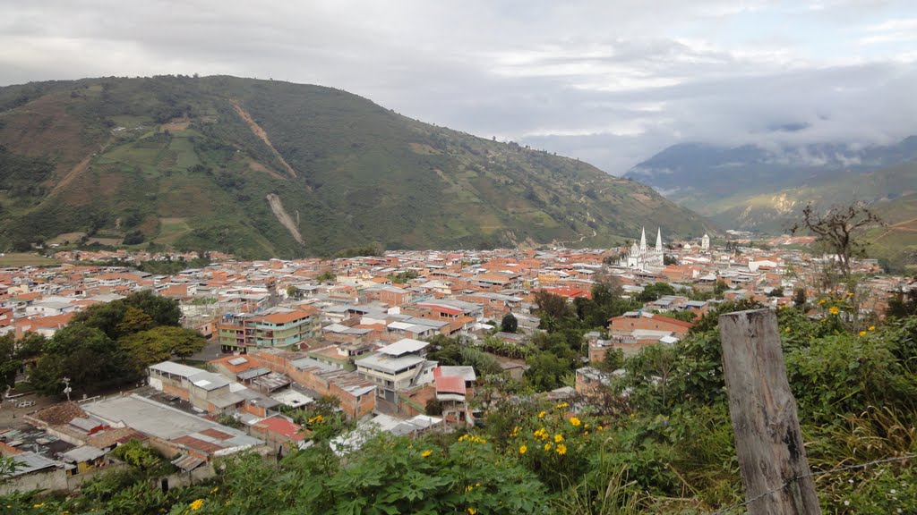 la-grita-12573.jpg