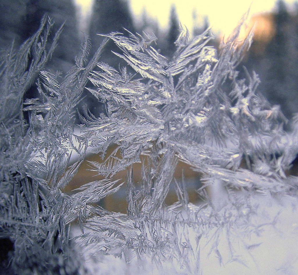 snowflakes-made-from-ice-crystals-by-JJSchad.jpg