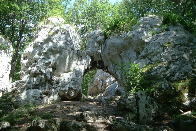Poland_Parkowe_reserve_-_Twardowskiego_gate.jpg
