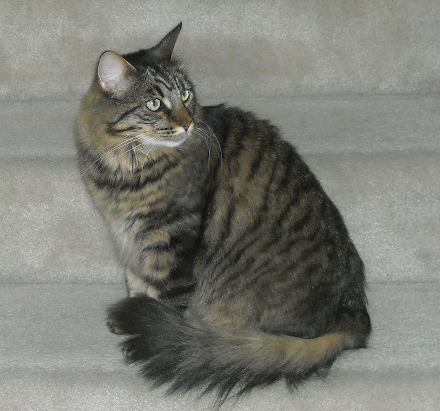 DSCN0430.JPG