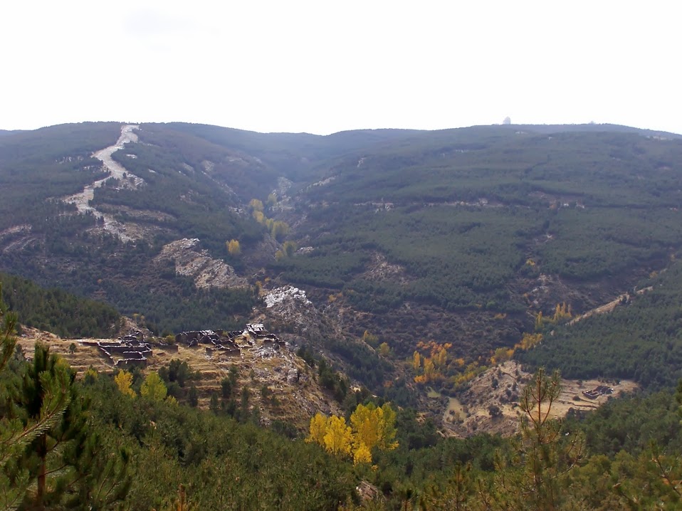 los-carrascos-y-al-fondo-calar-alto.jpg