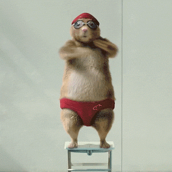 gifs_04.gif