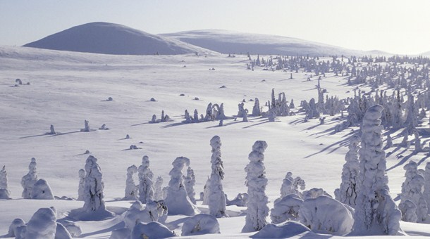 paisaje-en-saariselka.jpg