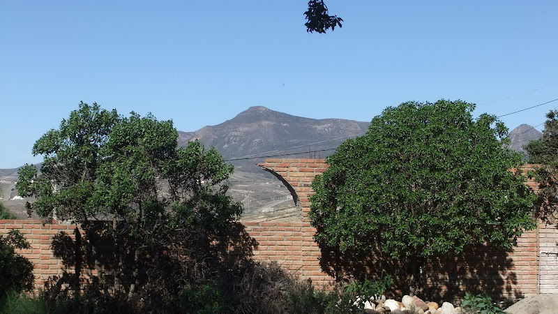 DSCF2985.JPG
