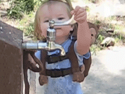 10025157073_71b1652268_o.gif