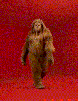 gifs_08.gif